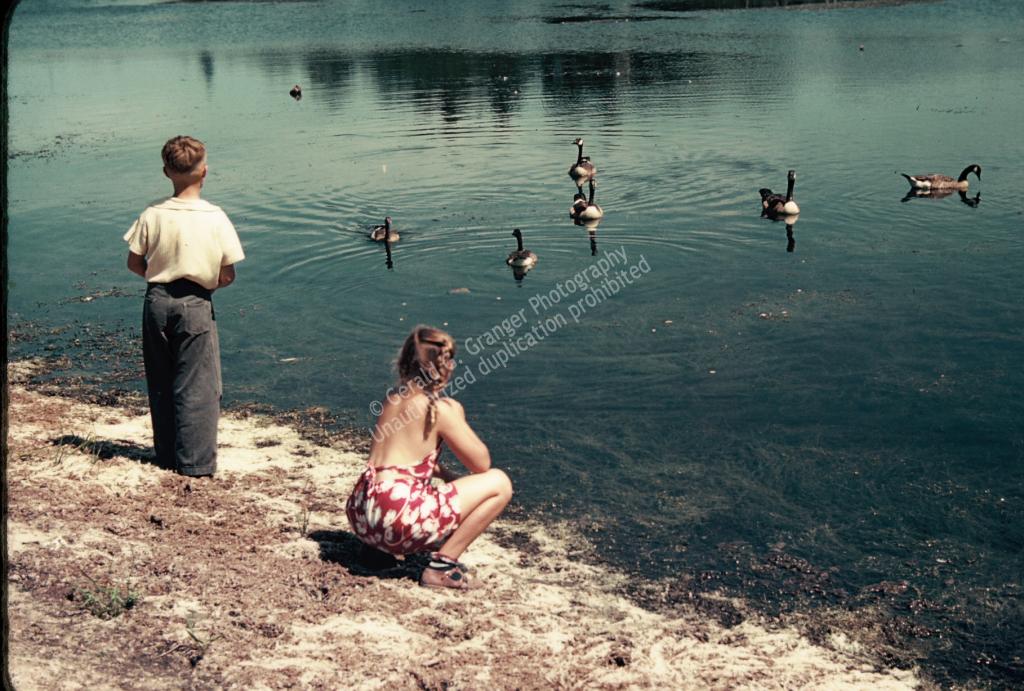 Photo of two kids feeding ducks in a pond
